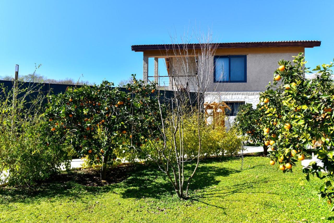 Volans Suites Villas Fethiye Zewnętrze zdjęcie